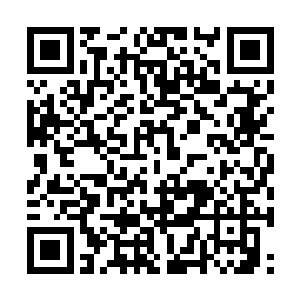 愤怒等人就算能够对付得了奥杜尔和那个中年男子二维码生成