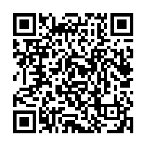 愤怒等人那自信的表情实在是带给了他们太大的压力二维码生成
