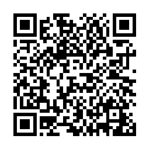 愿意拿出我们家族珍藏多年的神级天材地宝提供给金宏二维码生成