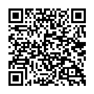 愿意毫不犹豫地为了拳王的意志和事业付出一切二维码生成