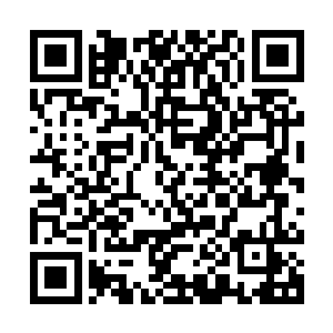 愿意继续留在古玩圈子混迹也行……反正我眼睛一闭都看不到了二维码生成