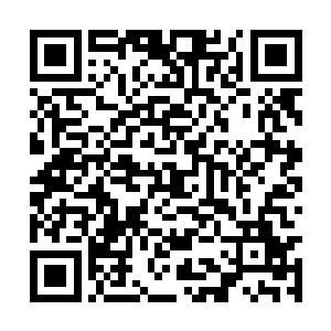 愿意自己做一道菜代替这残忍的烧鹅掌让二人品尝二维码生成