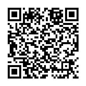 愿这些飞到空中的有角战士们全部都能立刻做一个好梦二维码生成
