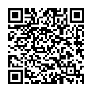 慌不择路的他竟然无意间踏上了与慕心怡相同的路二维码生成