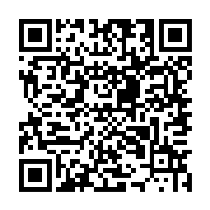 慌慌张张的抱起那断了双脚的昏迷同伙抽身遁去了二维码生成