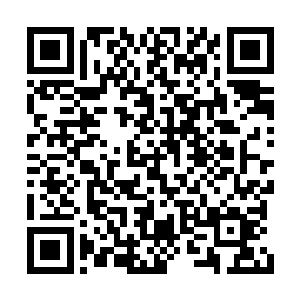 慕初夏在陆景乔的病房外的走廊上坐了很久很久二维码生成