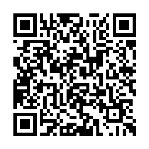 慕容仙儿看着林新脸上如同蜈蚣一样的难看伤痕二维码生成