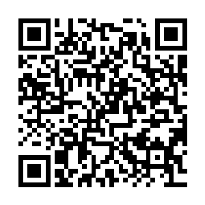 慕容婷也忘了叶璃还穿着男装直接扑到他身上抓着衣袖摇晃起来二维码生成