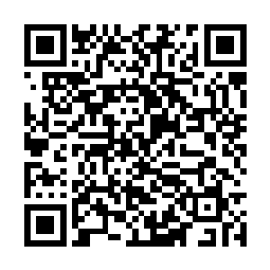 慕容玥众人有哪里还不知道暗夜所说的礼物是什么二维码生成