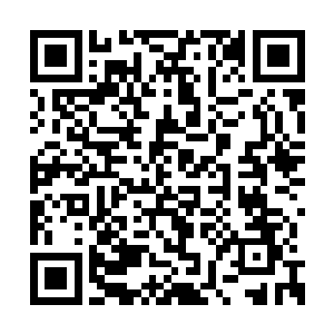慕容玥冷静地由着王将军和夜九等人护送着马车二维码生成