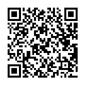 慕容玥有些同情加幸灾乐祸地看着陈姨娘顺便白了的脸二维码生成