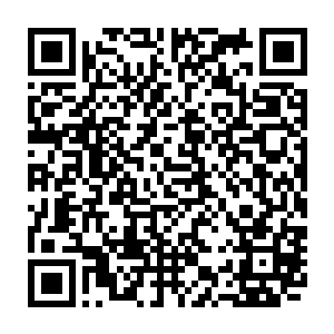 慕容玥有些好笑地看着面前如同喜鹊一般叽叽喳喳地一连串问着问题的萱若二维码生成