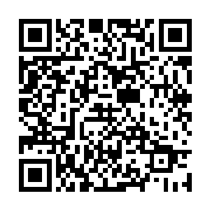 慕容玥正在寻找铁熊和孤狼的事情早已经不是秘密二维码生成