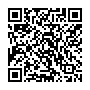 慕容的目光亦是停留在了园中翩然起舞的于非烟身上二维码生成