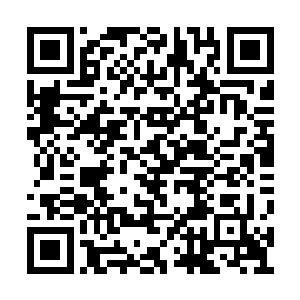 慕灵月才从得知亲人消息的大悲大喜中回复过来二维码生成
