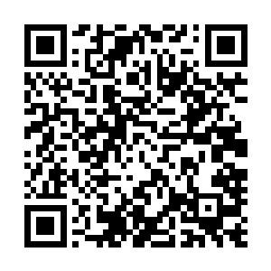 慢慢地才开始一点一点的改变着孙雅儿体内能量的运转路线二维码生成