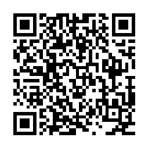慢慢的我看到一些淡红色的雾气开始从这个吊坠之中冒了出来二维码生成