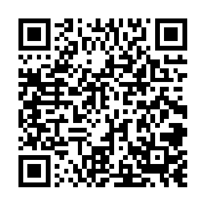 慢慢的挪到她身边的花无轩赶紧上前夺过她手里的刀子二维码生成