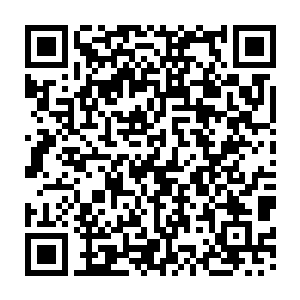 慢慢的诉说出他是怎么因为痴迷于龙王兰的培养而不慎弄丢了自己的孩子二维码生成