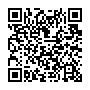 慧琳已经穿好了一身洁白的绸缎晚礼服式表演服装二维码生成
