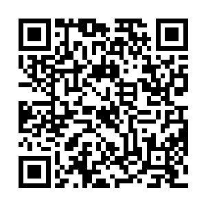 慧琳这几天要跟其他一些入围淘汰赛的选手一起排练啊二维码生成