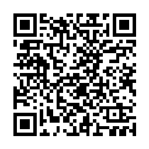 憋了一肚子气的陈诚便拿出了这个自己最为擅长的英雄二维码生成