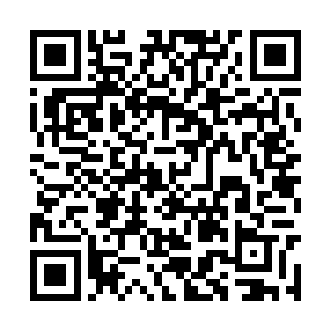 憨牛几乎觉得自家的少爷是在妒忌老虎的聪明……二维码生成