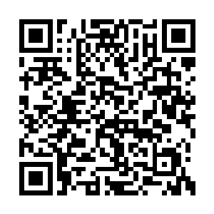 懒得管丫的……还是先保住哥自己的小命要紧吧二维码生成