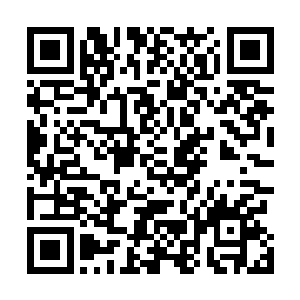 懒得脑子根本不愿意转圈的贝格格居然主动提议玩扑克牌二维码生成
