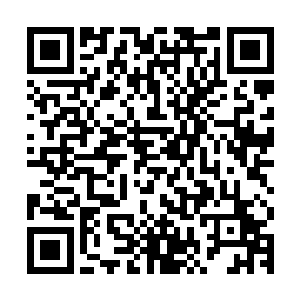 懒洋洋抱头躺在旁边一颗赤红花树的树枝上的姜红芷嫌弃的撇嘴二维码生成