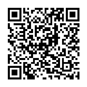戈德堡身着宽松的豹纹曳地长裙出现在了舞台之上二维码生成