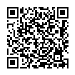 戎族和西夏苗疆各有使臣带着金银或珠宝赶来京都买药二维码生成