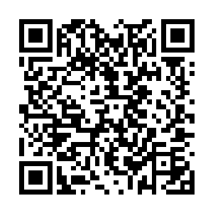 戎马生涯中早已习惯了对刘元季拳打脚踢的林斗房二维码生成