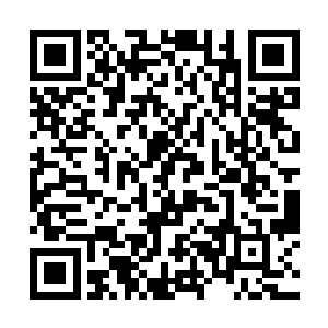 戏剧社的歌剧编排每天都按照日程表上的安排进行着二维码生成