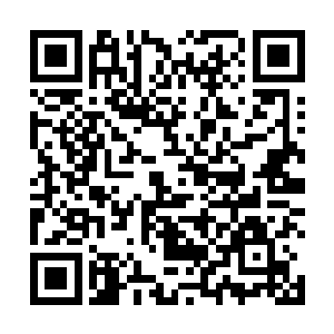 戏面血脉在这方面拥有的来自人族远古祖先的卓绝天赋二维码生成