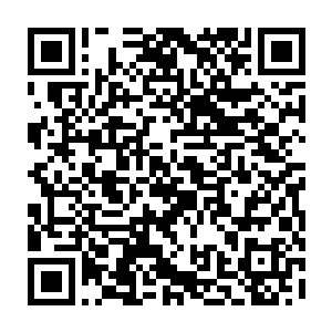 成不鸣已经用神识传音将许紫烟要向百族开放太虚宗招收弟子的事情告诉了他们二维码生成