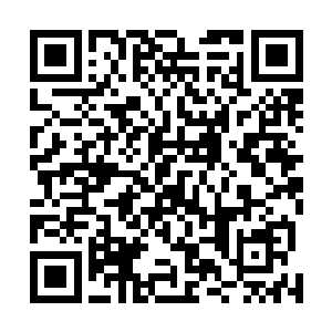 成为了一城之主的风奇泽在这个城市的制高点招待了我们二维码生成
