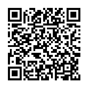 成为了他们第一个在深夜到来之前就撤兵的日子二维码生成