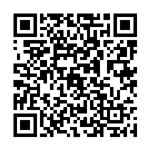 成为了每一位普通美国人开启全新一天的保留节目二维码生成