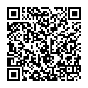 成为他们的棋子…一个微不足道的小炮灰而已…事情就是这么简单二维码生成