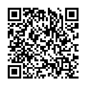 成为同伴的你们很有可能和他一起踏上一条不归路二维码生成