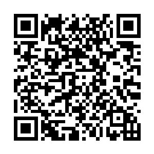 成为大地骑士的人甚至会被人当做神一样的来崇拜二维码生成