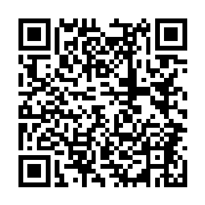 成为这个夏天整个世界范围内最热的音乐势力之一二维码生成