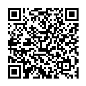 成为这位大人的童子不仅仅是因为这个大人实力强大可以依靠二维码生成