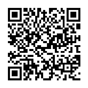 成亲快一年的时间硬生生的一次何家的大门都没有踏进二维码生成