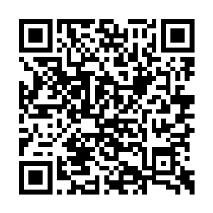 成功在前面的虫尊身体也有部分被切的支零破碎二维码生成