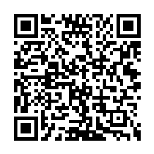 成功逃下山后一直带着昏迷不醒的尹苏站在一旁二维码生成