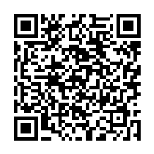 成叔就在离这十多里外的一条山谷里等他们消息呢二维码生成