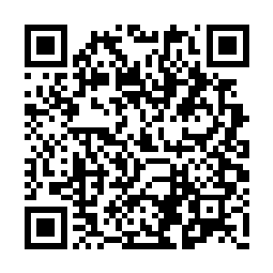 成天和乐淘淘的姐妹俩一起享受安静的家庭生活二维码生成