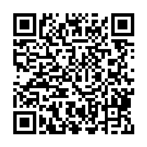 成年之后的蛇颈陆龟拥有不下于二级巫师的实力二维码生成